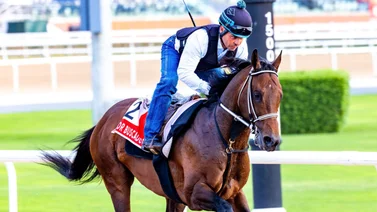 Aquí los doce ejemplares que competirán por los $12.000.000 de la Dubai World Cup