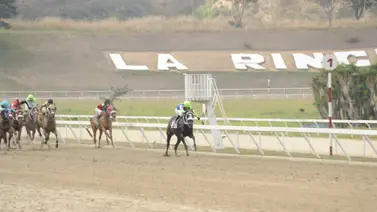 Duodécima reunión en el Hipódromo Internacional La Rinconada con 10 competencias Duodécima reunión en el Hipódromo Internacional La Rinconada con 10 competencias