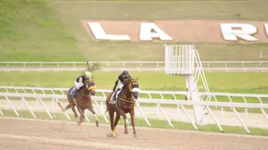 Ejemplar que tiene 162 días sin correr en La Rinconada reaparece con Francisco Quevedo Ejemplar que tiene 162 días sin correr en La Rinconada reaparece con Francisco Quevedo