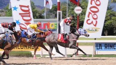 Esta yegua del Stud Azatlan reaparece con más de 217 días sin correr