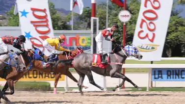 Esta yegua del Stud Azatlan reaparece con más de 217 días sin correr Esta yegua del Stud Azatlan reaparece con más de 217 días sin correr