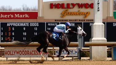 José Armando Bracho arrasa este lunes en este hipódromo de Estados Unidos
