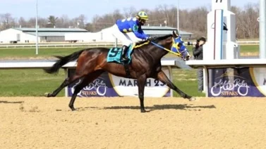 Trainer venezolano gana su primer Stakes del 2024 en Estados Unidos 