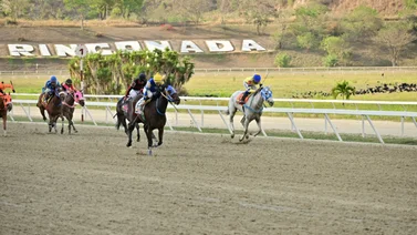 Yearling que costó $14.000 en las subastas Unicria 2022 debuta este domingo en La Rinconada