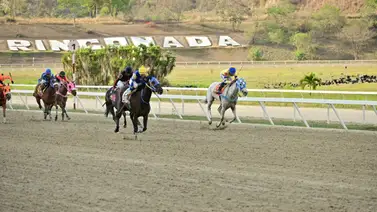 Yearling que costó $14.000 en las subastas Unicria 2022 debuta este domingo en La Rinconada Yearling que costó $14.000 en las subastas Unicria 2022 debuta este domingo en La Rinconada