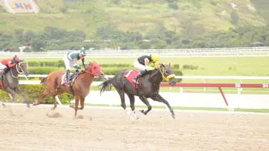 Yoelbis González monta ejemplar que tiene 165 días sin correr en La Rinconada Yoelbis González monta ejemplar que tiene 165 días sin correr en La Rinconada