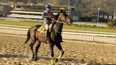 Este es el nuevo agente del jinete Robert Capriles en La Rinconada Este es el nuevo agente del jinete Robert Capriles en La Rinconada