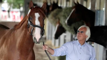 Bob Baffert rompe el silencio luego de dos meses para declarar esto