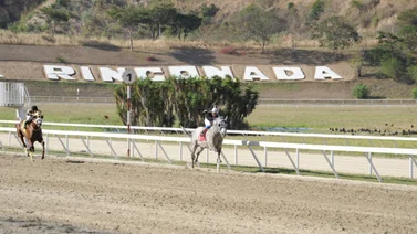 Ejemplar retorna a la pista de La Rinconada tras 70 días sin estar en acción
