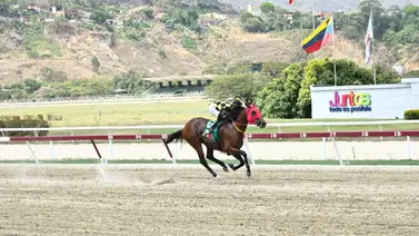 Este ejemplar tratará de conseguir su cuarta victoria seguida en La Rinconada Este ejemplar tratará de conseguir su cuarta victoria seguida en La Rinconada