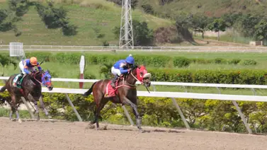Este ejemplar reaparece después de 105 días sin correr Este ejemplar reaparece después de 105 días sin correr