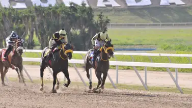 Ejemplar que tiene casi dos años sin ganar reaparece en La Rinconada tras parón de 112 días Ejemplar que tiene casi dos años sin ganar reaparece en La Rinconada tras parón de 112 días