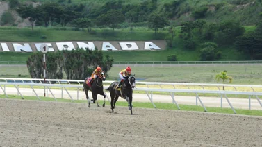 Entrenador Nelson Henríquez reaparece a este ejemplar que tiene 238 días sin correr en La Rinconada