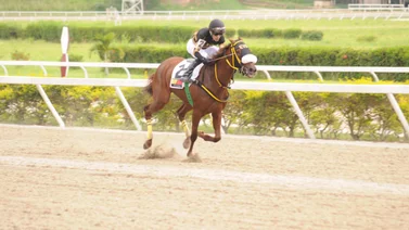 Yanir Hurtado vuelve a la pista yegua que tiene 162 días sin competir en La Rinconada