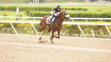 Yanir Hurtado vuelve a la pista yegua que tiene 162 días sin competir en La Rinconada Yanir Hurtado vuelve a la pista yegua que tiene 162 días sin competir en La Rinconada