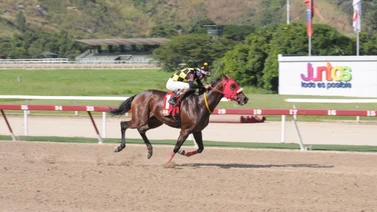 Este ejemplar del Stud MM reaparece con 45 días sin correr