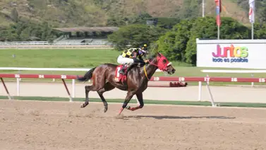 Este ejemplar del Stud MM reaparece con 45 días sin correr Este ejemplar del Stud MM reaparece con 45 días sin correr