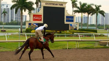 Aquí el Best Bet y los Tips para Gulfstream Park 27-03-2024