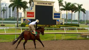 Aquí el Best Bet y los Tips para Gulfstream Park 27-03-2024 Aquí el Best Bet y los Tips para Gulfstream Park 27-03-2024