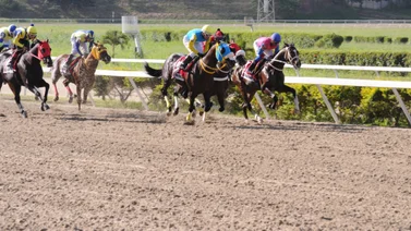 César Cachazo reaparece yegua que tiene 217 sin competir en La Rinconada