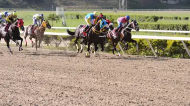 César Cachazo reaparece yegua que tiene 217 sin competir en La Rinconada César Cachazo reaparece yegua que tiene 217 sin competir en La Rinconada