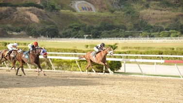 Abraham Campos reaparece a esta yegua que tiene 105 días sin correr en La Rinconada