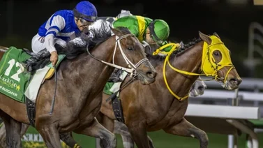 Así partirán Señor Buscador y Ushba Tesoro en la Dubai World Cup