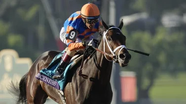 ¿Cuál de los dos Fierceness aparecerá en el Florida Derby (G1) este sábado?