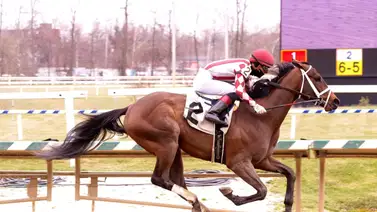 Mychel Sánchez se escapa en el meeting de Parx Racing Mychel Sánchez se escapa en el meeting de Parx Racing