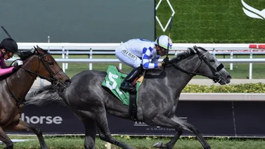 Así quedaron los resultados de las carreras Gulfstream Park 27-3-2024