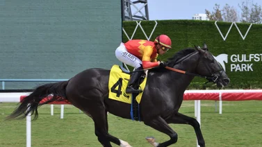 Este fue el jockey más destacado de las carreras Gulfstream Park 27-3-2024