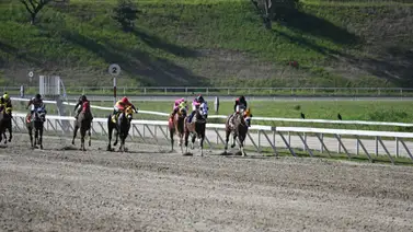 Mira lo que ocurrió con Mateo Of Boston en su ejercicio Mira lo que ocurrió con Mateo Of Boston en su ejercicio