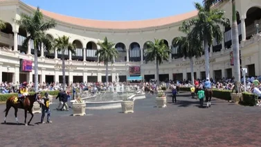 Aquí el Best Bet y los Tips para Gulfstream Park 28-03-2024