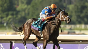 ¡El evento del mes! Descubre todo sobre el Florida Derby y cómo ganar con Sellatuparley