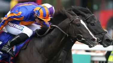 Mira lo que dice el mejor jockey del mundo sobre sus montas este sábado en Dubai Mira lo que dice el mejor jockey del mundo sobre sus montas este sábado en Dubai