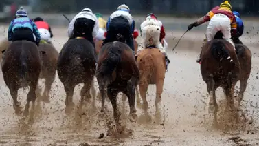 Cancelados programas de carreras de sábado y domingo en este hipódromo de Estados Unidos Cancelados programas de carreras de sábado y domingo en este hipódromo de Estados Unidos