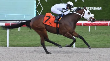Dos jockeys puertorriqueños y dos venezolanos entre los 5 primeros según este indicador