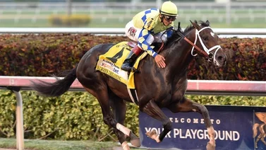 ¿Sabe Ud cuál es el jockey, el entrenador y el propietario más ganador del Florida Derby (G1)?