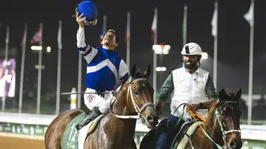 La perfecta combinación entre Junior Alvarado y Señor Buscador La perfecta combinación entre Junior Alvarado y Señor Buscador