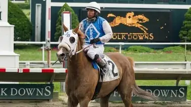 Suspensión para jockey latino por conducción negligente en Estados Unidos Suspensión para jockey latino por conducción negligente en Estados Unidos