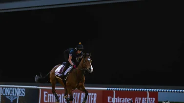 Estos son los horarios de las carreras de la Dubai World Cup este sábado 