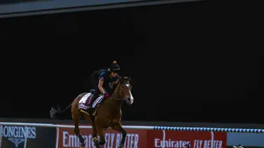 Estos son los horarios de las carreras de la Dubai World Cup este sábado Estos son los horarios de las carreras de la Dubai World Cup este sábado