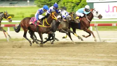 Así ajustó esta tordilla previo a su compromiso del domingo en La Rinconada Así ajustó esta tordilla previo a su compromiso del domingo en La Rinconada