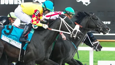 Yunta venezolana busca cupo al Kentucky Derby este sábado en prueba de $1.000.000