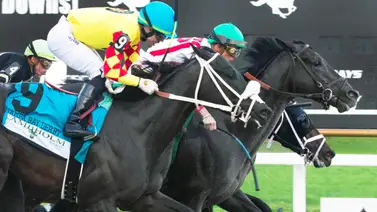 Yunta venezolana busca cupo al Kentucky Derby este sábado en prueba de $1.000.000 Yunta venezolana busca cupo al Kentucky Derby este sábado en prueba de $1.000.000