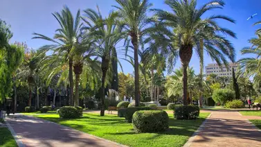 Valencia prohíbe la entrada a parques y monumentos regionales por esta razón Valencia prohíbe la entrada a parques y monumentos regionales por esta razón