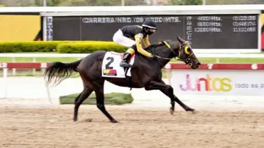 Mira como ajustó este pupilo de Fernando Parilli Tota para afrontar su compromiso en La Rinconada Mira como ajustó este pupilo de Fernando Parilli Tota para afrontar su compromiso en La Rinconada