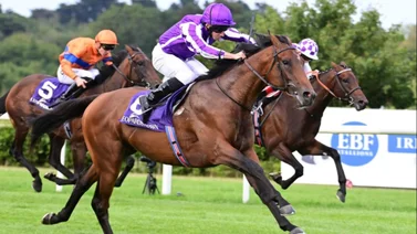 El mejor jockey del mundo gana la Dubai Gold Cup (G2) con Tower of London