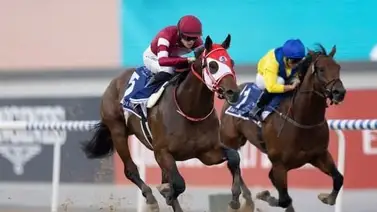 Forever Young sigue invicto y gana su pase al Kentucky Derby este sábado Forever Young sigue invicto y gana su pase al Kentucky Derby este sábado