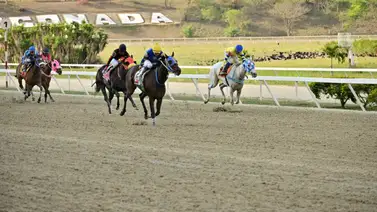 Datos de Última Hora para el Hipódromo La Rinconada 31-3-2024 Datos de Última Hora para el Hipódromo La Rinconada 31-3-2024